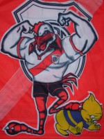 /album/el-mas-grande/vamos-river-plate-4-jpg/